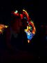 DSC00024.jpg