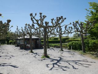 places